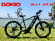 Wholesale Fat Tyre Mountain Electric Bike with Disc Brake