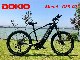  Wholesale Fat Tyre Mountain Electric Bike with Disc Brake