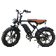  Electric Bicycle for Beach and Offroad Adventures
