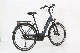 Electric Bicycle City Bike EU 700c Bafang MID Motor