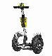 19inch Self Balance Scooter Two-Wheel Balance Electric Vehicle 20inch