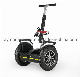 Beach 2000W Electric Chariot 2 Wheel Electric Scooter with Handle