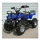  2023 New CE Approved 500W/800W/1000W Electric Mini Kids ATV Factory