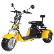  Removable Lithium Battery Adult Electric Tricycle Motorcycle Scooter Citycoco