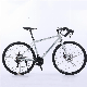 China Bicycle Brand Road Bike MTB Bike 21 Speed