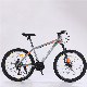 Made in China Factory Price Variable Speed Mountain Bike