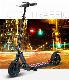  New Style 350W Two Wheels Foldable Kick Electric Scooter