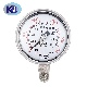 1600bar Hydraulic Oil Filled Pressure Gauge Stainless Steel Case Bottom Connection Manometer