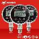 Hongqi Hc-100 Digital Pressure Gauge High Precision Manometer