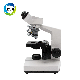 in-B129 Medical Laboratory Biological Stereo Monocular Trinocular Video Digital Plympus Binocular Electronic Microscope