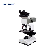  Biobase Trinocular Stereo Fluorescence Microscope Manufacturers Microscope for Lab