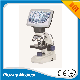  Video Microscope Digital Microscope LCD Microscope and Combined Stereo Microscope (NLCD-AS1)
