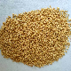 Dehydrated Garlic China Granulated Granules Supplier