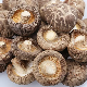 Wholesale Dried Shiitake Mushroom Oyster/Champignon Agaricus Bisporus/Porcini/Morel/Boletus/Lions Mane Hericium Erinaceus/Black Fungus/Wild Mushroom Supplier