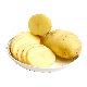 Supply Fresh Russet Potatoes Raw Potatoes with Best Price