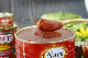  Tomato Paste Canned 70g 210g 400g 2200g Factory First-Hand Best Price From Popular Tomato Paste Supplier in China