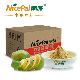 Natural Spray Dried Papaya Powder / Papaya Vegetable Powder