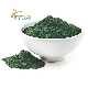  Food Grade 100% Pure Extract Organic Spirulina Powder Bulk for Sale