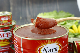 Tomato Paste Canned 70g 210g 400g 2200g Factory First-Hand Best Price From Popular Tomato Paste Supplier in China