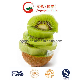  New Crop High Quality Fresh Kiwi Fruit (80-150g)