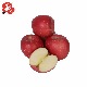 China Fruit Fresh Full Red FUJI Apple