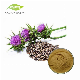 Comext Herbal Silybum Marianum Plant Blessed Thistle Seed Powder 30% Silybins HPLC UV 40%~80% Water Soluble 40% Silymarin Milk Thistle Extract for Liver Health