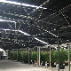  Hot Sale Light Deprivation Greenhouse for America and Canada