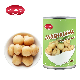 Fast Food Health Chinese Factory Cheap Price Fresh Whole Mushroom Canned Food