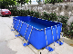  Dfspo New Inflatable Water Products Frame Speed Easy Set Swimming Pool