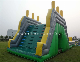 Awesome Inflatable Jumping Castle for 2014 New Year (IN005)