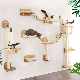 Home Luxurious Cat Climb Track Modern Wall Mounted Shelves Multifunctional Cat Furniture