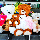 Eco Friendly Plush Toy Soft PP Cotton Color Teddy Bear for Children