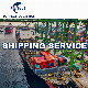  Top 1688, Alibaba Express, Sea Freight Forwarder, Best China Freight Forwarder, Shipping Agent to USA/Canada/Australia/Spain/Belgium/Italy/Germany/France/UK