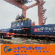 Railway/Train Freight Shipping to Germany and Russia
