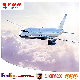  Professional Air Freight Express Logistics Services From China to World DHL/TNT/UPS/FedEx