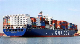  Professional Freight Agent Container Shipment From China to Japan by Sea