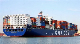  Professional Freight Agent Container Shipment From China to Denmark by Sea