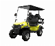  Electric Hunting Golf Buggy with 2+2 Seats and Great Price