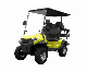 Electric Hunting Golf Buggy with 2+2 Seats and Great Price