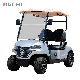  Adequate Stock Cheap Price 2 Seats Forge G2 Electric Golf Cart Golf Buggy