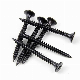  Factory Wholesale Black Phosphated Fine Coarse Thread Drywall Screw