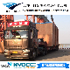  Import and Export Customs Clearance/Warehouse Service/Truck Service Customs Declaration