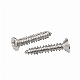 Countersunk Head Wood Screw/Machine Screw/Fitting Screw/Stainless Steel Screw DIN553