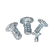  DIN603 Round/Mushroom Head Square Neck Carriage Bolt