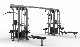 Realleader High Quality Gym Equipment of Multi-Jungle 8-Stack (FM-2006)