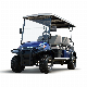 Electric Vehicle Electric Mini Car 6 Seaters Golf Cart