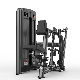 Top Quality Seated Row/Rear Delt Realleader Commercial Gym Equipment Pec Fly Machine for Bodybuidling manufacturer