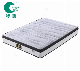  Good Sleep Hotel Project Euro-Top Design Pocket Spring Mattress