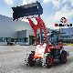  China Manufacturer EPA Euro5 Mini Radlader Backhoe Front End Loader Wheel Loader