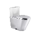 Hot Sale Stainless Steel Toilet with Dual Flush Cistern and Ss Seat Cover for Commercial Washrooms